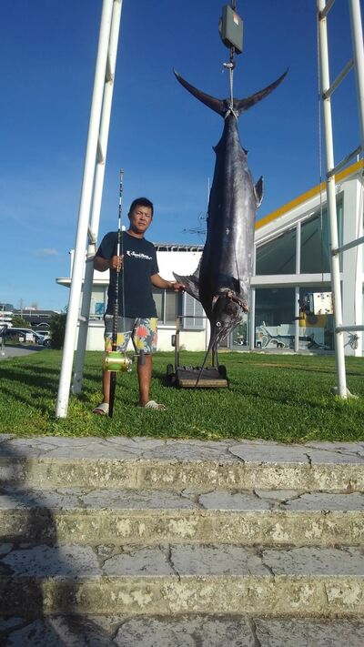 6/17 珍しいシロ上がる